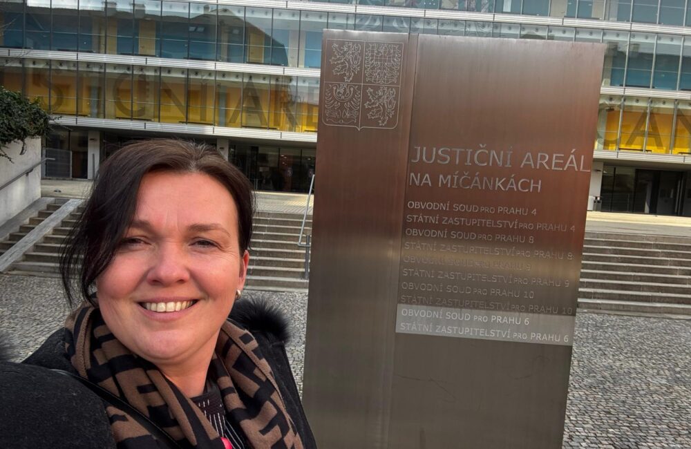 &Scaron;kolen&iacute; soudců: v&yacute;živn&eacute;, př&iacute;jem a potenci&aacute;ln&iacute; př&iacute;jem