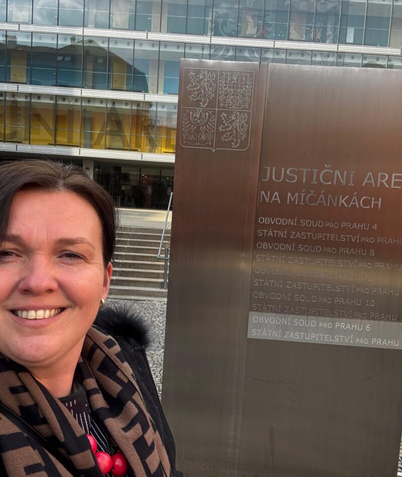 Školení soudců: výživné, příjem a potenciální příjem